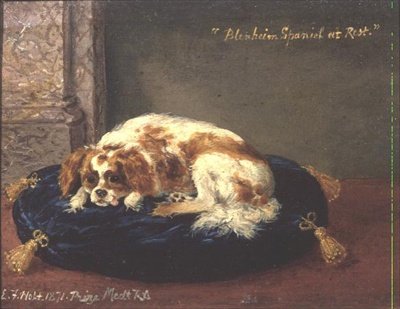 Blenheim spániel nyugalomban alkotó: Edwin Frederick Holt