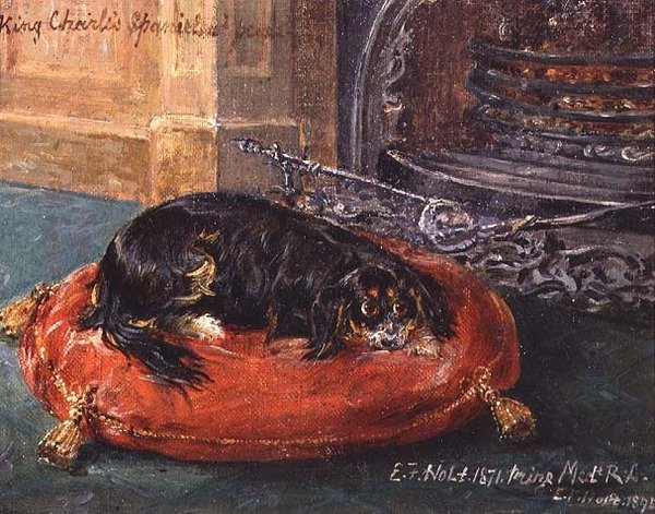 Károly király spániel nyugalomban alkotó: Edwin Frederick Holt