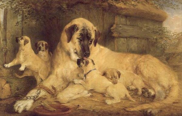 A természet egyetlen érintése rokonsá teszi az egész világot alkotó: Edwin Frederick Holt