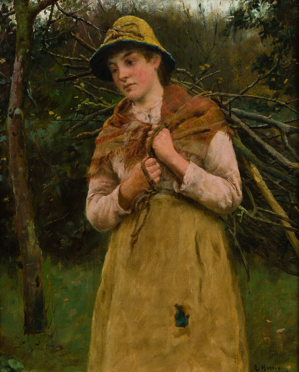 Botok gyűjtése alkotó: Edwin Harris