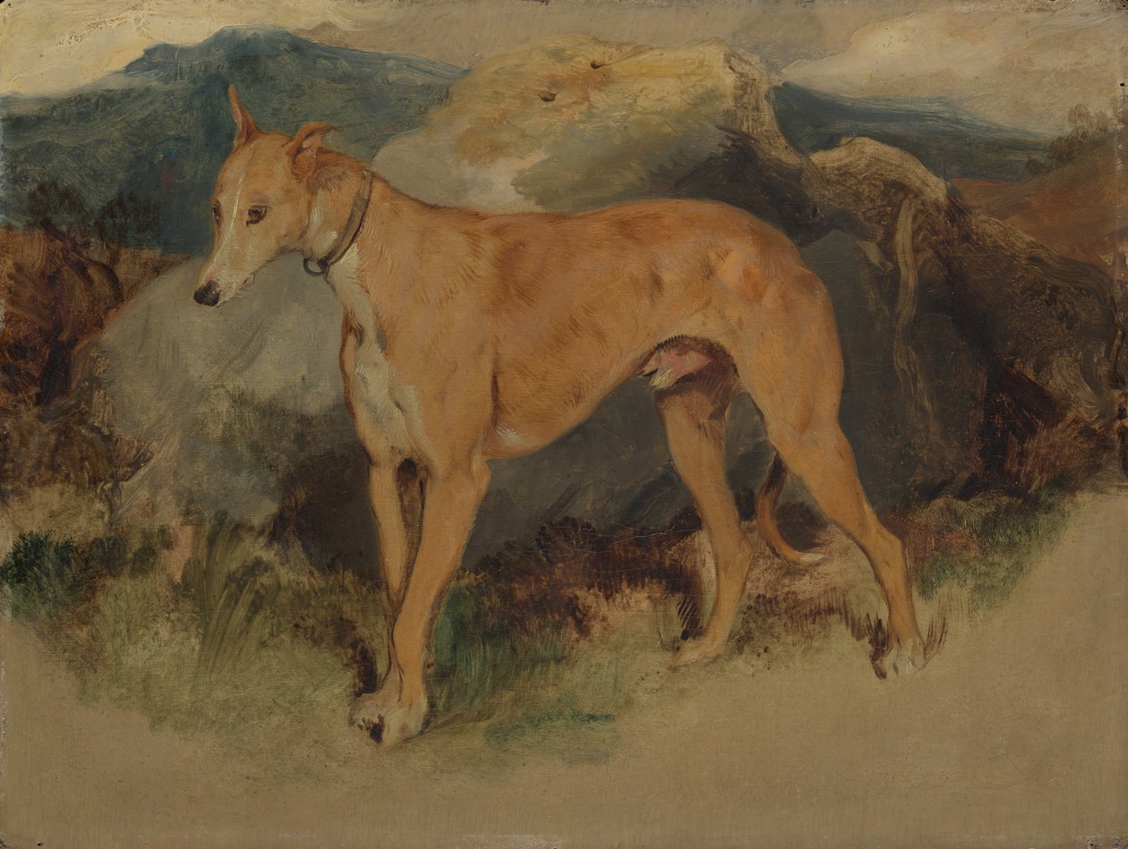 Egy szarvaskutya, 1826. alkotó: Edwin Landseer