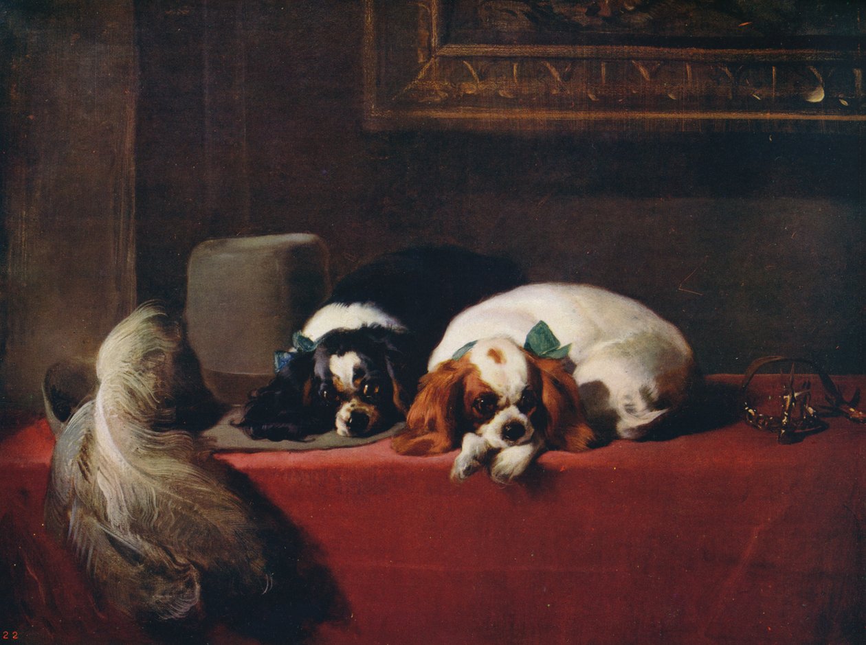 King Charles Spaniels The Cavaliers Pets, 1845, c1915 alkotó: Edwin Landseer