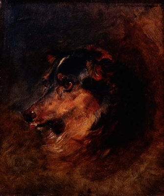Egy collie kutya vezető tanulmánya alkotó: Edwin Landseer