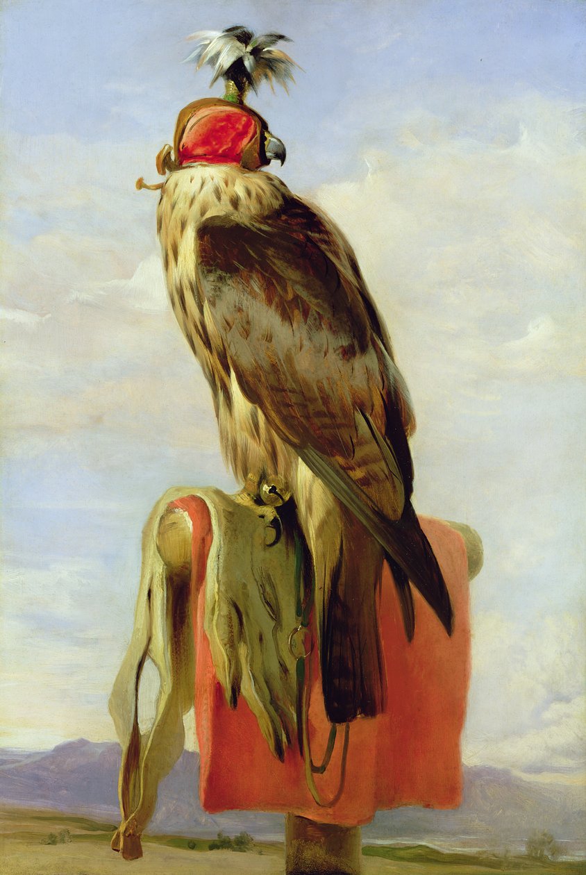 Csuklyás sólyom alkotó: Edwin Landseer