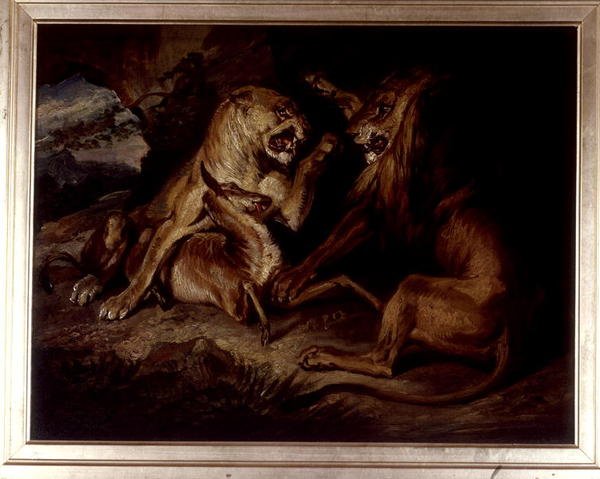 Oroszlánok ölésben (olaj, vászon) alkotó: Edwin Landseer
