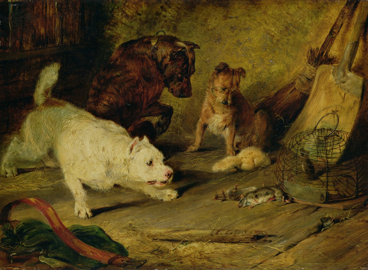 Patkányfogók alkotó: Edwin Landseer