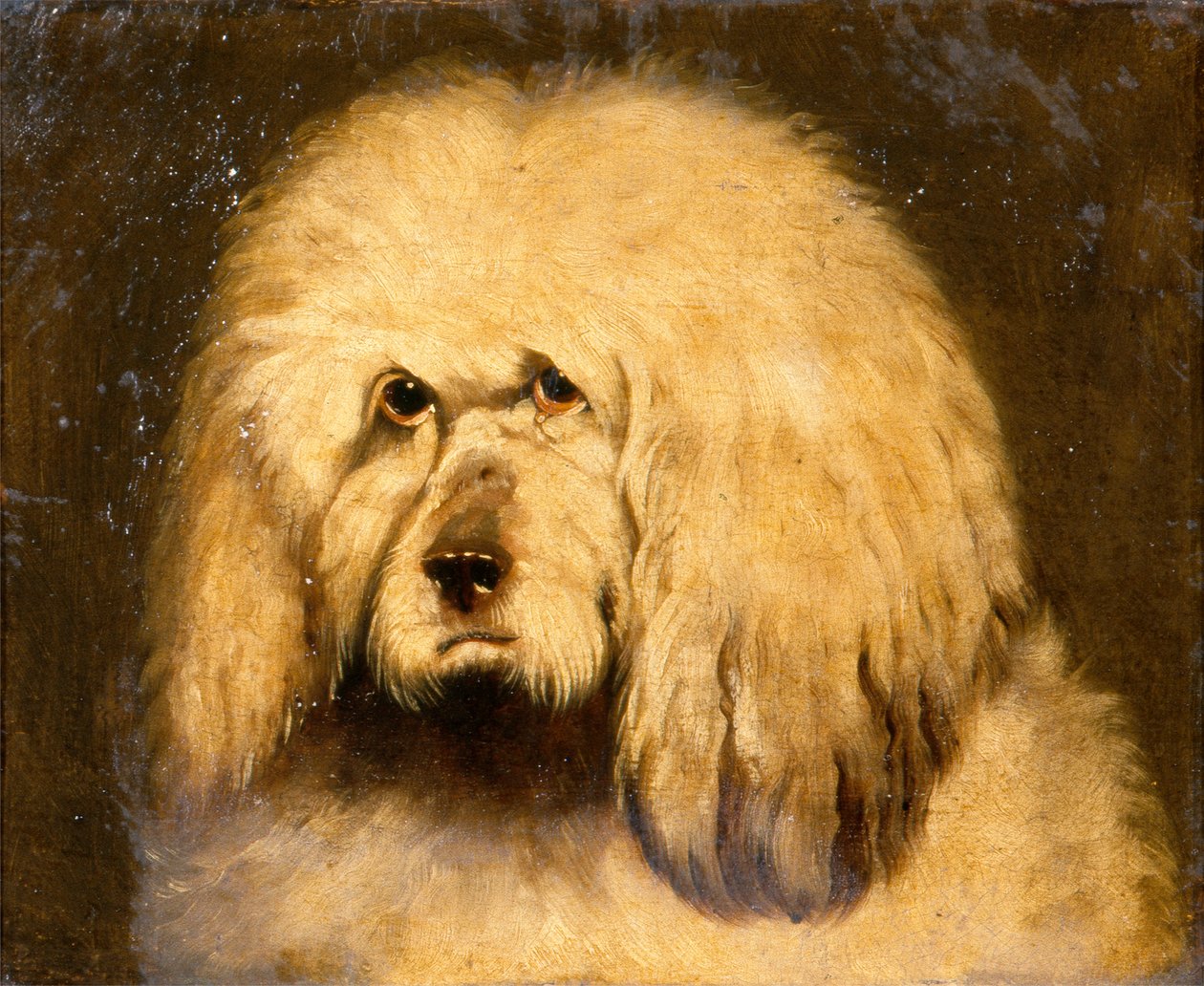 Tanulmány egy kutya fejéről (olaj, vászon) alkotó: Edwin Landseer