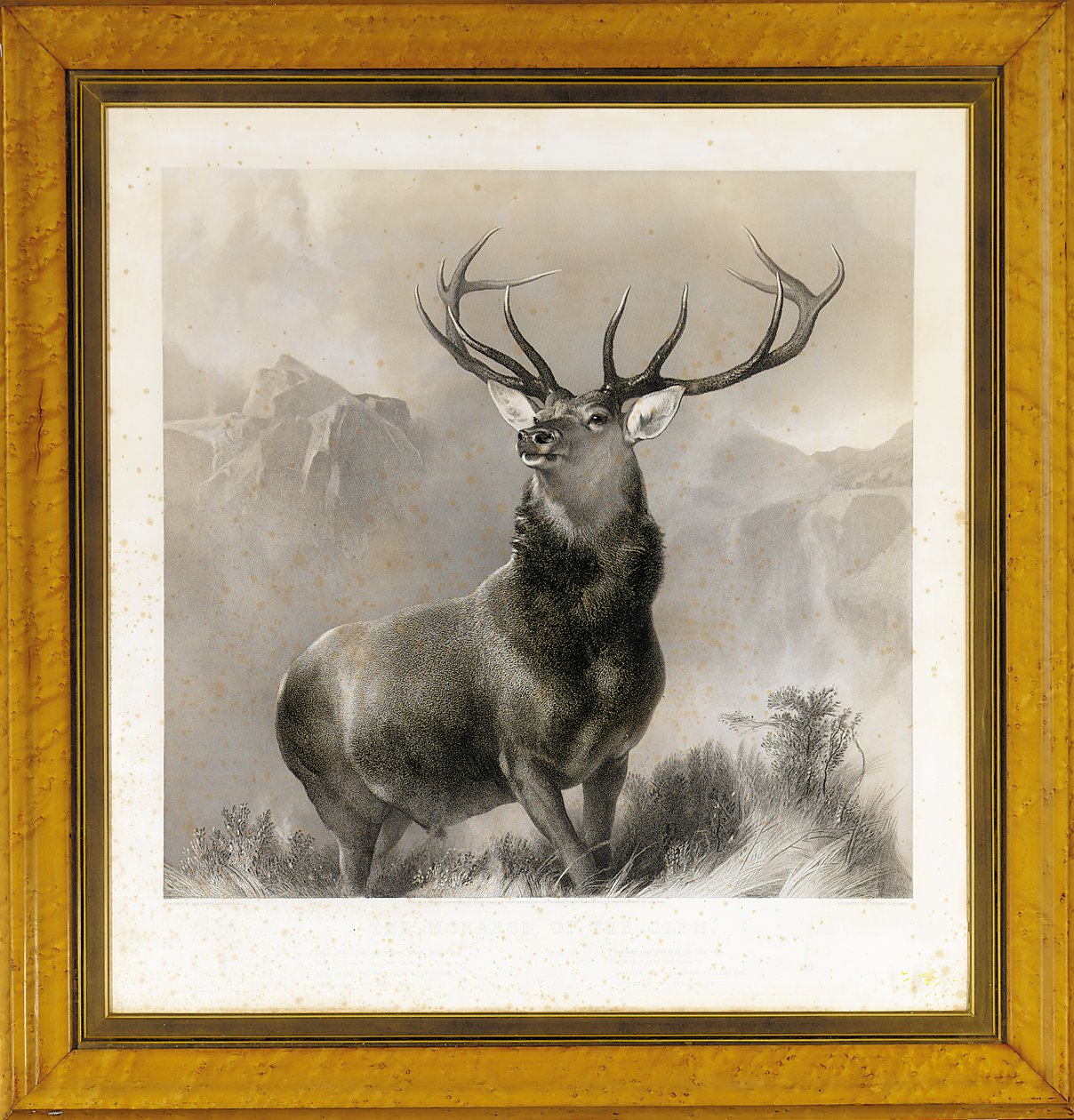 A Glen uralkodója, 1852 alkotó: Edwin Landseer