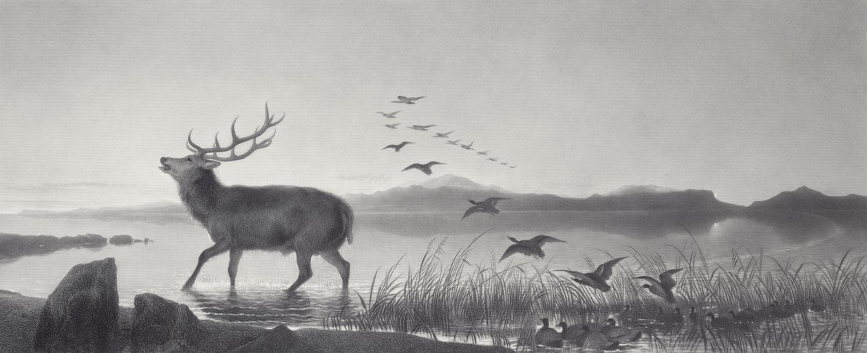 A megmentés alkotó: Edwin Landseer