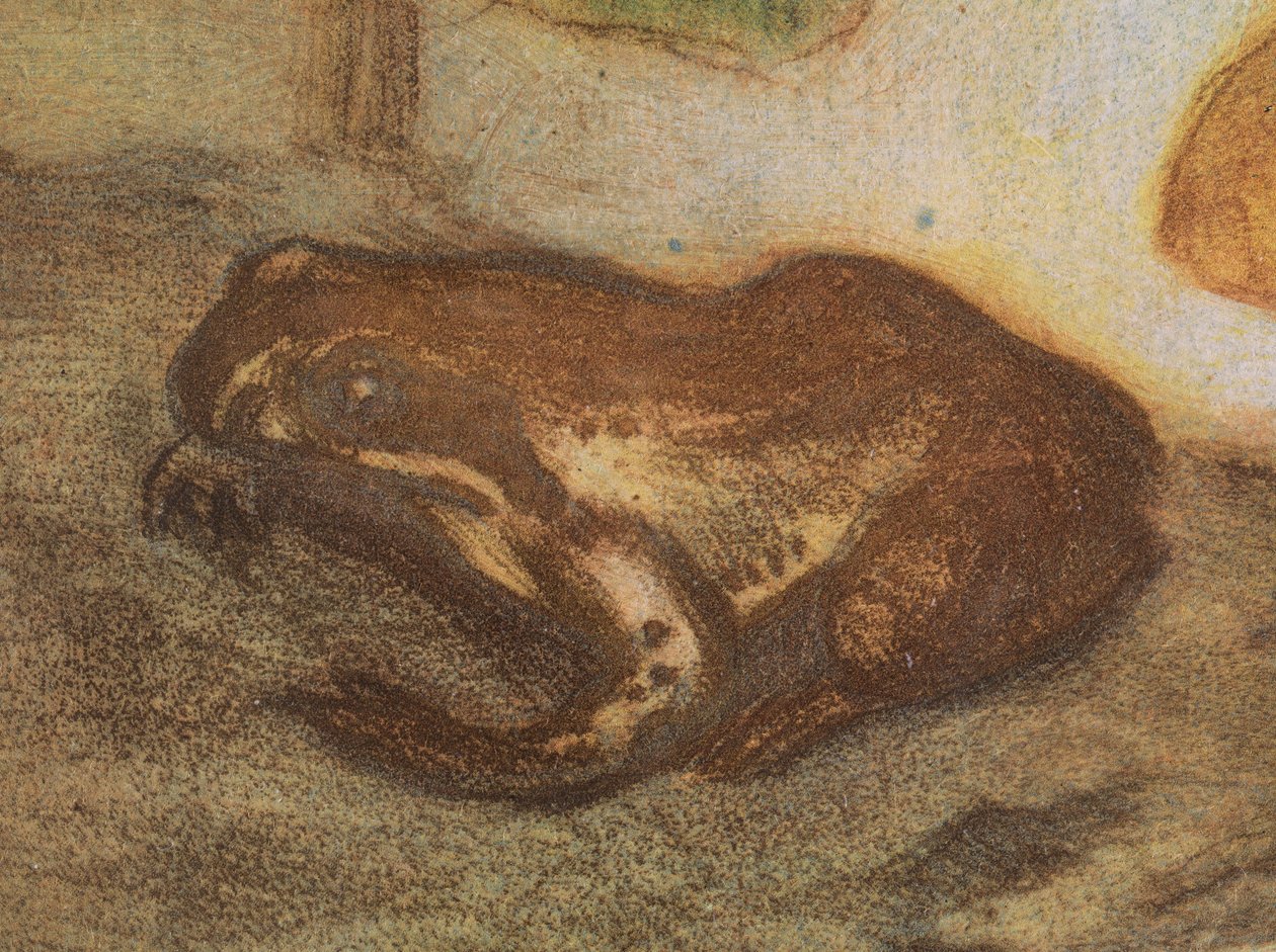Béka mocsári gólyahírrel alkotó: Eero Järnefelt