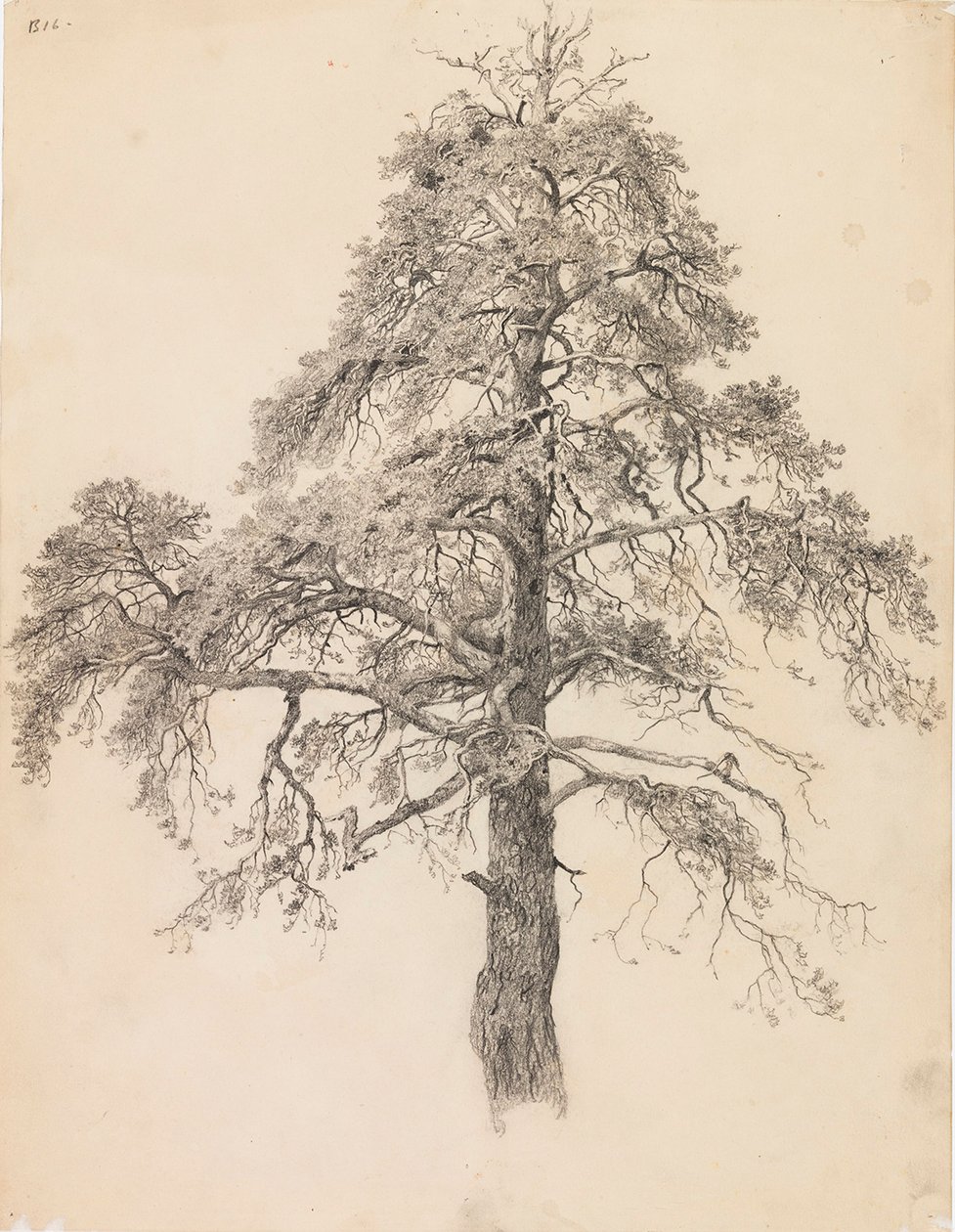 Fenyőcsúcs alkotó: Eero Järnefelt