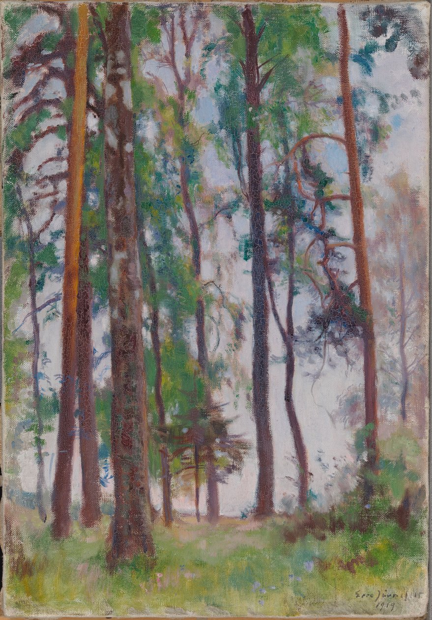Pines alkotó: Eero Järnefelt