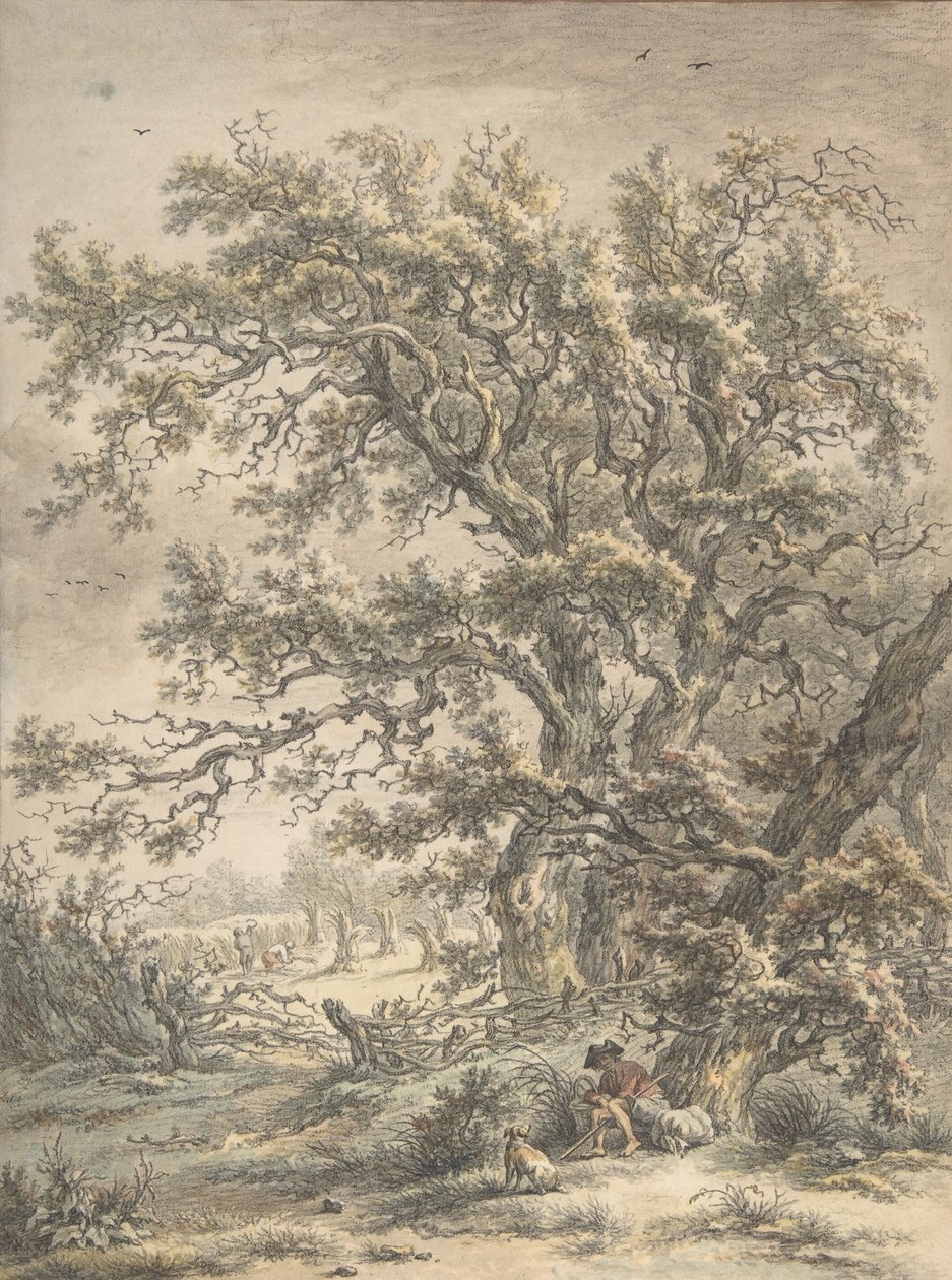 Egy ember pihen egy fa alatt, n.d. alkotó: Egbert van Drielst