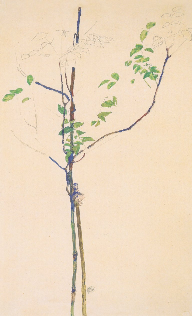 Fiatal csemete támogatással alkotó: Egon Schiele
