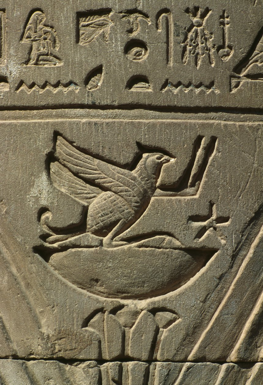 Részlet egy dombormű, hieroglifák mészkő alkotó: Egyptian
