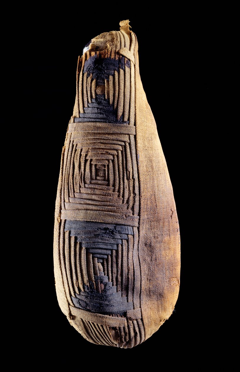 Egy íbisz múmiája, Abydosból, Egyiptomból alkotó: Egyptian