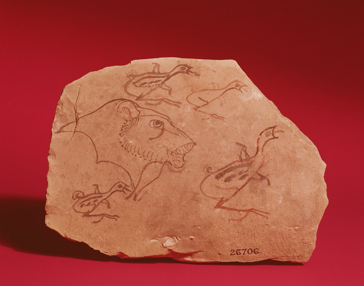 Oroszlánfejet és négy fürjfiókát ábrázoló Ostrakon, valószínűleg Thébából, a 19-20. dinasztia (festett mészkő) alkotó: Egyptian