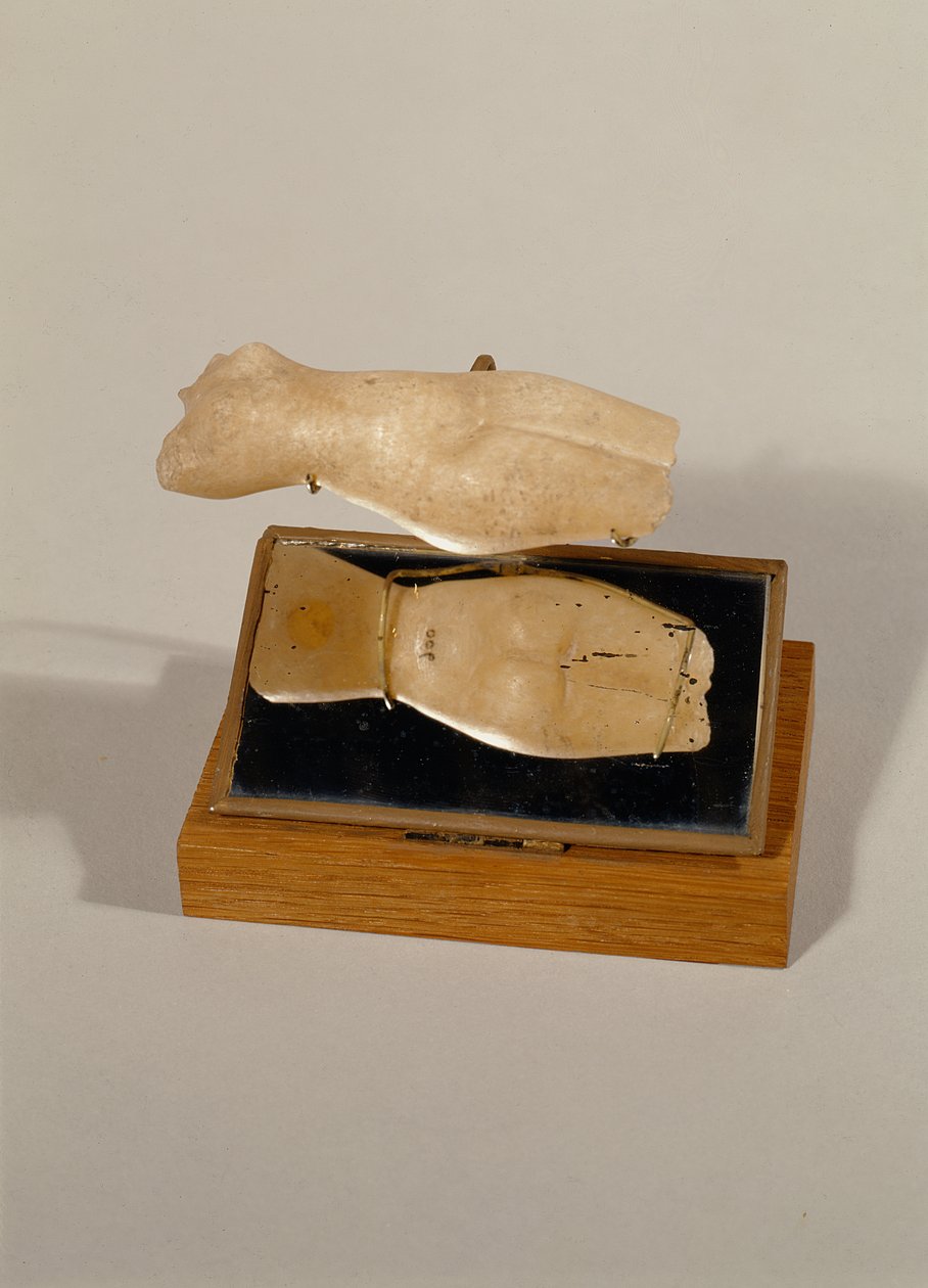 Egy nő törzse, Új Királyság (alabástrom) alkotó: Egyptian 18th Dynasty