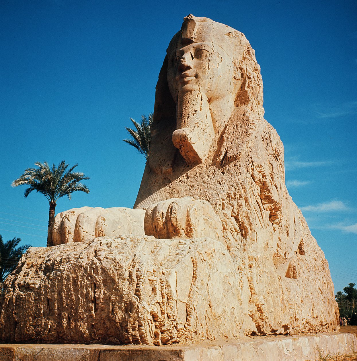 Alabástrom szfinx, Új Királyság, valószínűleg II. Amenhotep uralkodása idején, ie 1450-1425 körül (lásd még 59240) alkotó: Egyptian 18th Dynasty