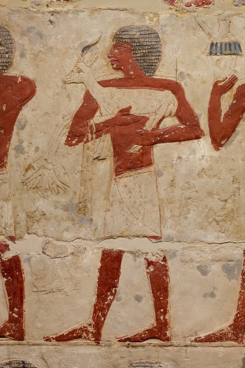 Perneb Mastaba sírja, ie 2381–2323 (mészkő és festék) alkotó: Egyptian 5th Dynasty