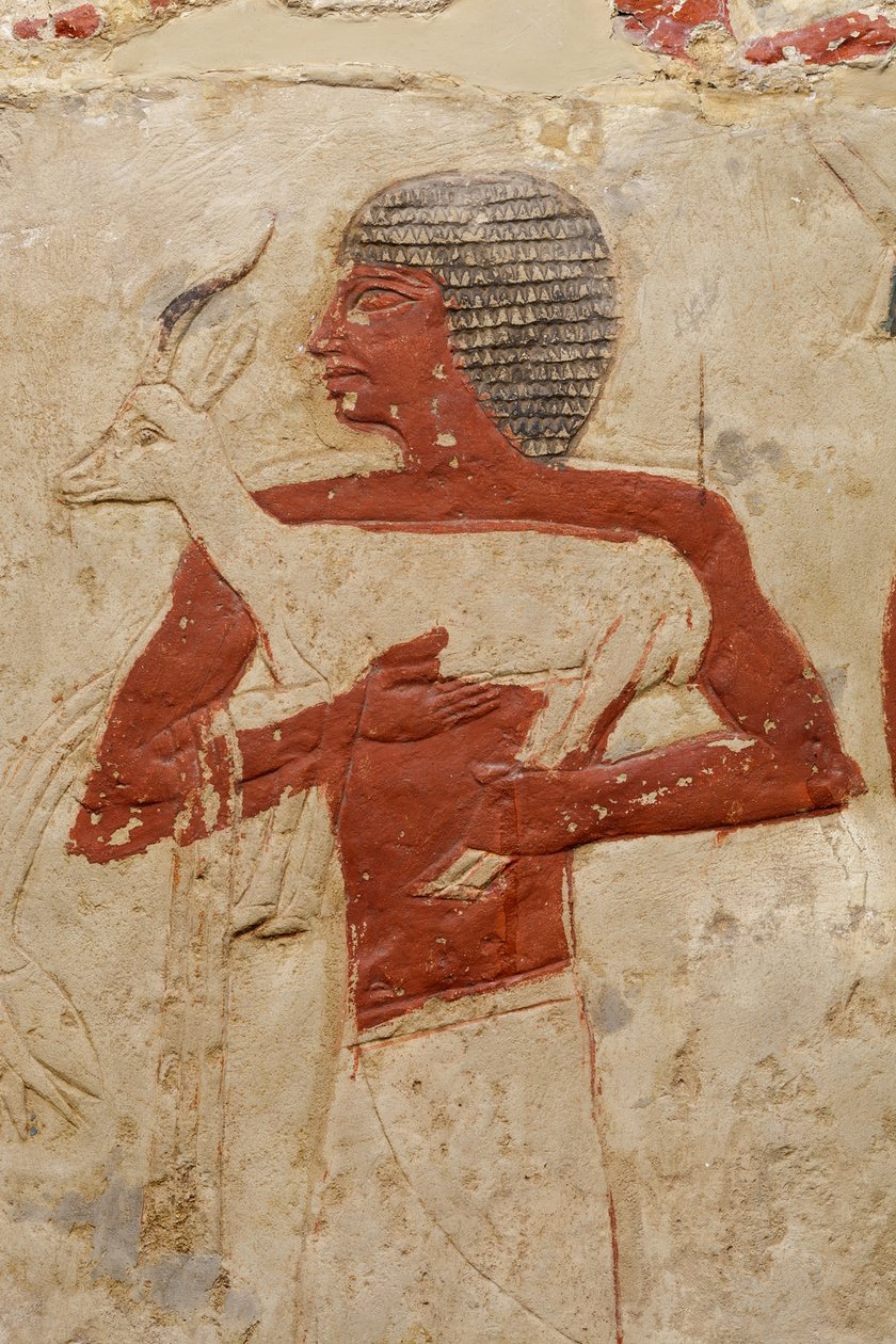 Perneb Mastaba sírja, ie 2381–2323 (mészkő és festék) alkotó: Egyptian 5th Dynasty