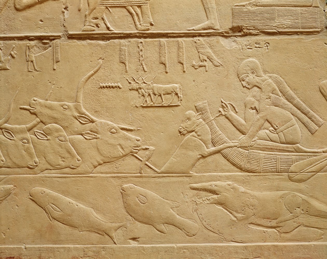 Szarvasmarha gázlón át a Kagemni-kő Mastabából alkotó: Egyptian 6th Dynasty