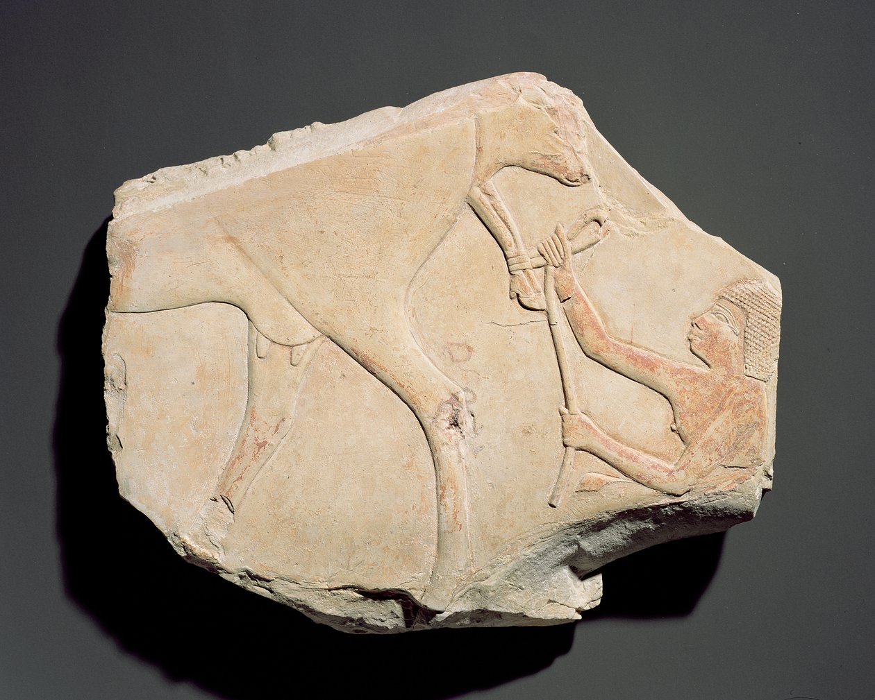 Borjú születését ábrázoló domborműtöredék, Asasifból, Thébából, a harmadik köztes időszakból (Kr. e. 1069-664) (mészkő) alkotó: Egyptian
