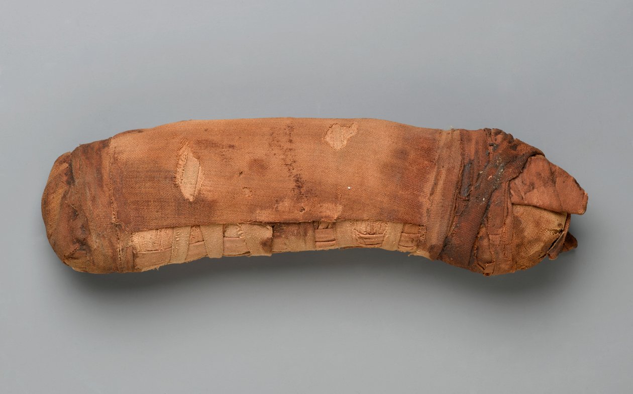 Macska múmia (állati maradványok és ágynemű) alkotó: Egyptian