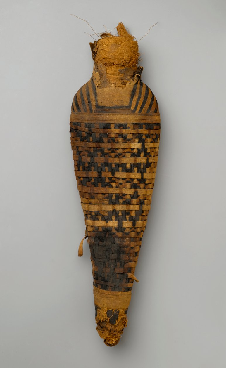 Sólyom múmiája (állati maradványok és ágynemű) alkotó: Egyptian
