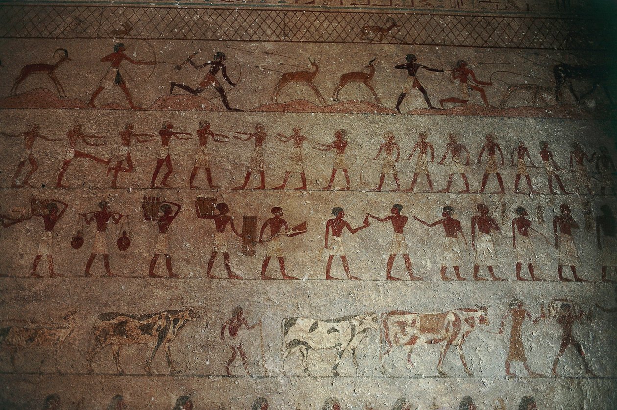 Beni-Hasan Nekropolisz. Amenemhat sírja, részlet: vadászjeleneteket és vidéki életet ábrázoló falfestmények alkotó: Egyptian 12th Dynasty