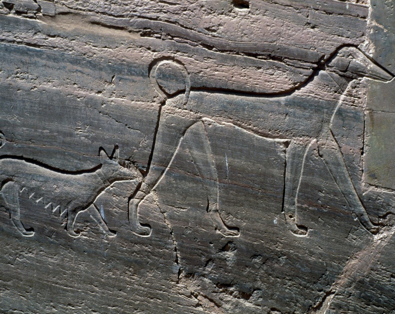 Pár kutya, dombormű a bejárattól, Sarenput II sírja, Hercegek sírjai, Qubbet el-Hawa, Nílus nyugati partja Asszuánnál, Egyiptomi civilizáció, Középbirodalom, XII. dinasztia alkotó: Egyptian 12th Dynasty