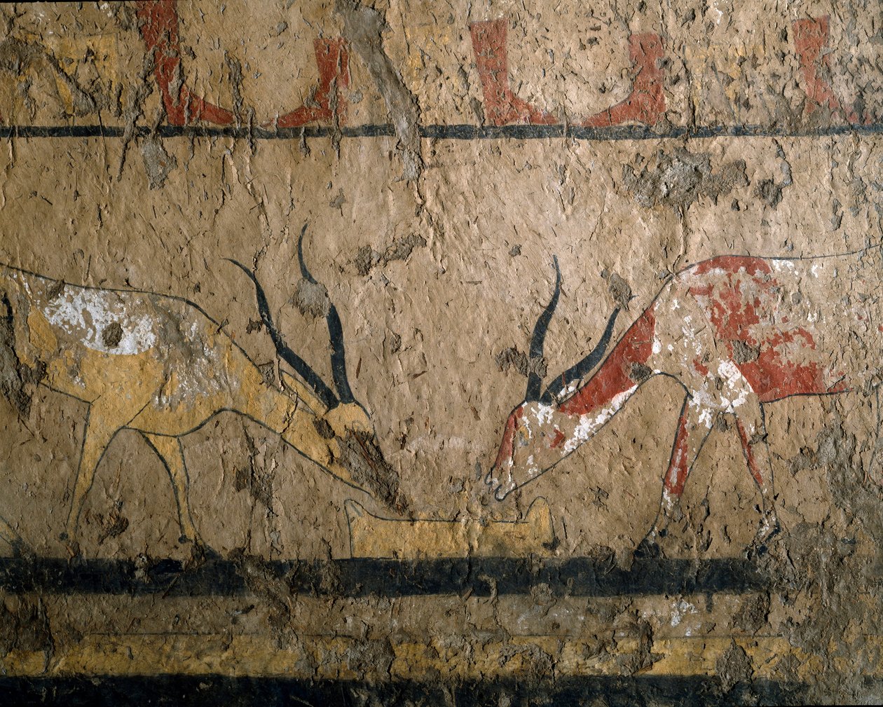 Egyiptomi ókor: bétafark tenyésztése. Neferou királynő sírjának freskója III. 12. dinasztia. Kr.e. 2200-2000. El Ghebelenből. Torino, egyiptomi múzeum alkotó: Egyptian 12th Dynasty