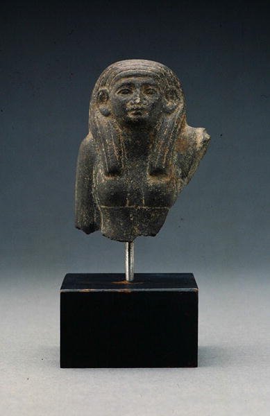 Egy nő feje és válla egy csoportos szoborból, valószínűleg temetkezési kettős, Középső Királyság (bazalt) alkotó: Egyptian 12th Dynasty