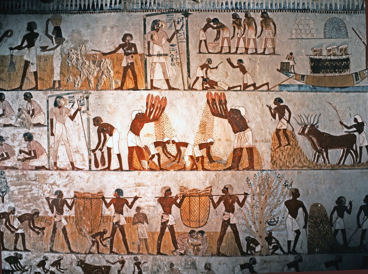 EGYIPTOMI MŰVÉSZET: Ernés jelenet. Falfestmény Menna sírjában, Elwe..., Kr. e. 1400 körül (mészkő). alkotó: Egyptian 18th Dynasty