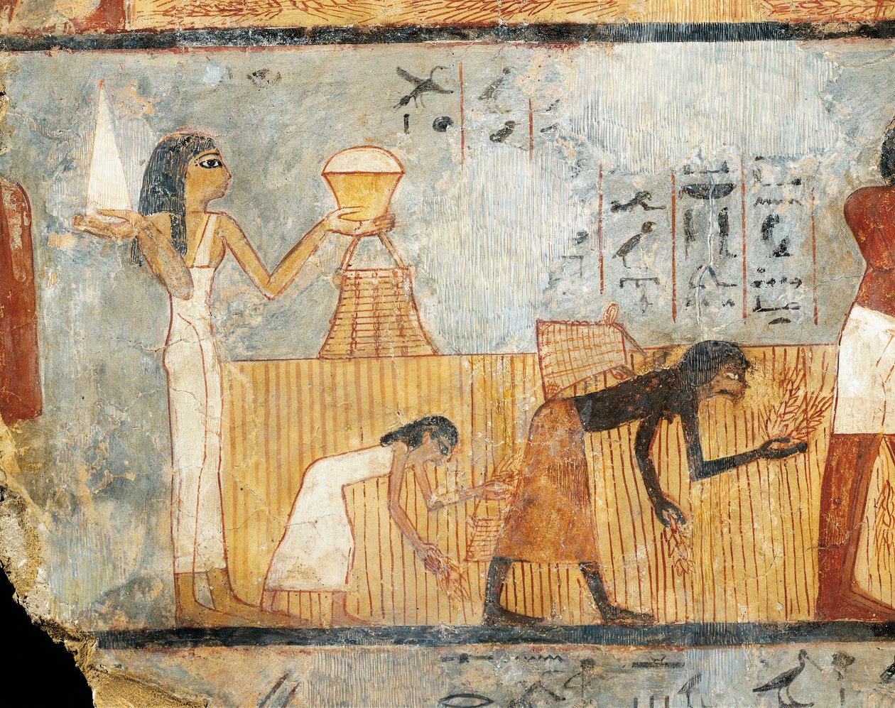 Egyiptom, Théba, Unsu sírja, Nő ételt visz a földeken dolgozó munkásoknak, falfestmény alkotó: Egyptian 18th Dynasty