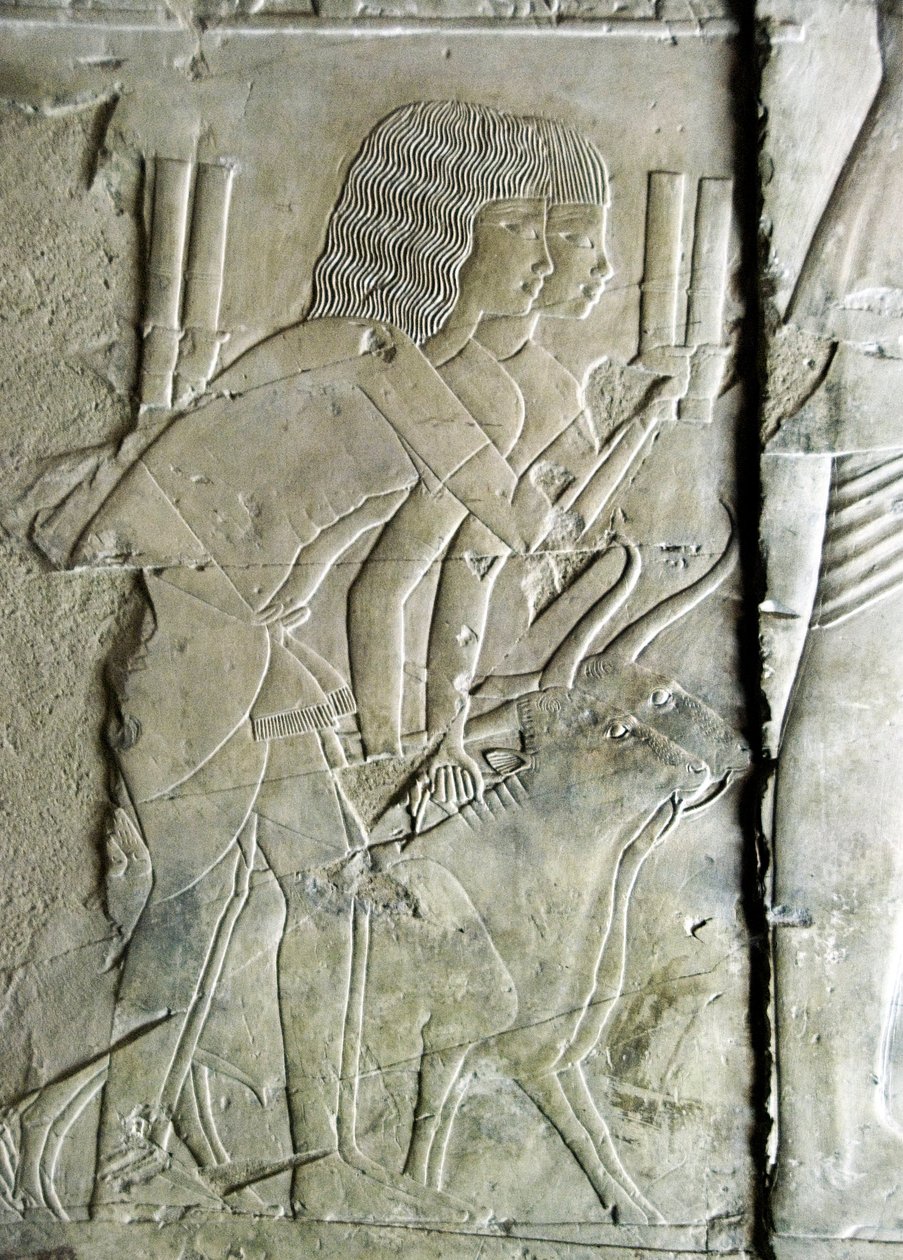 Egyiptomi antikvitás: Kha em Het (Khaemhat) padlásfelügyelő és írnok sírjától kapcsolódik Amenophis III (TT57) udvarához, amely répafejet felajánló férfiakat képvisel. 18. dinasztia. Kr.e. 1530-1290. Vallee des Nobles. Luxor, Ciszjordánia, pl alkotó: Egyptian 18th Dynasty