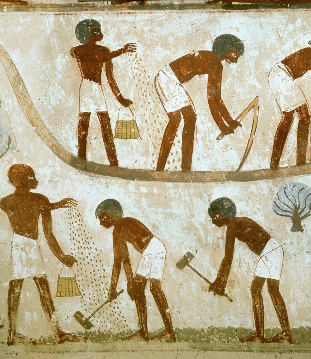 Földművesek földet törnek, vetnek és szántanak (falfestmény) alkotó: Egyptian 18th Dynasty