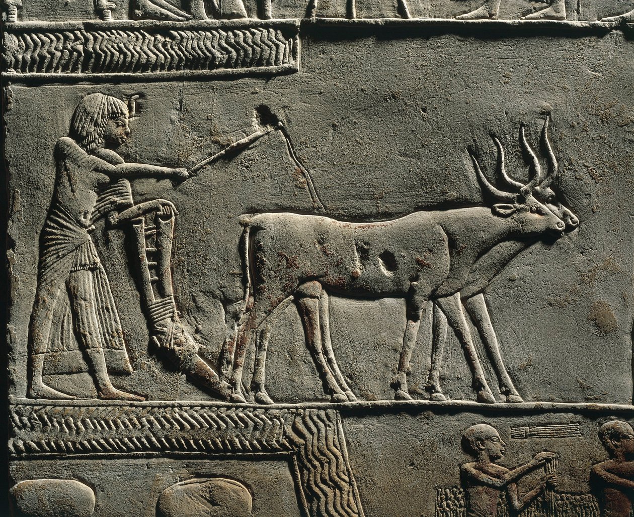 Horemheb szántás közben Iaru mezején. Horemheb sírjának reliefje Szakkarában, részlet. alkotó: Egyptian 18th Dynasty