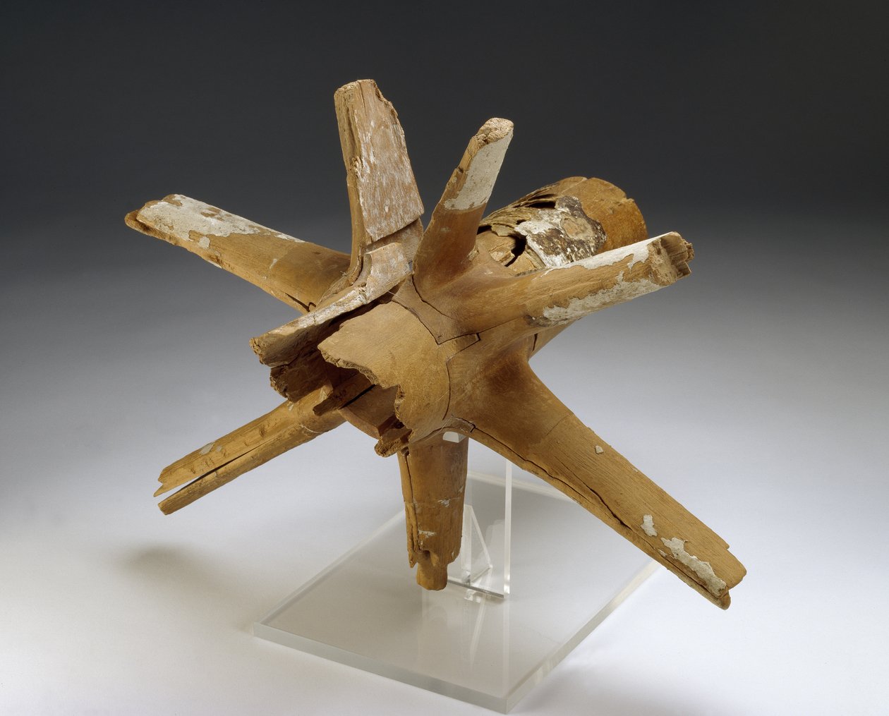 A szekérkerék agya és küllői (szilfa és tamarix fa gipsz- és nyersbőr kötéssel) alkotó: Egyptian 18th Dynasty