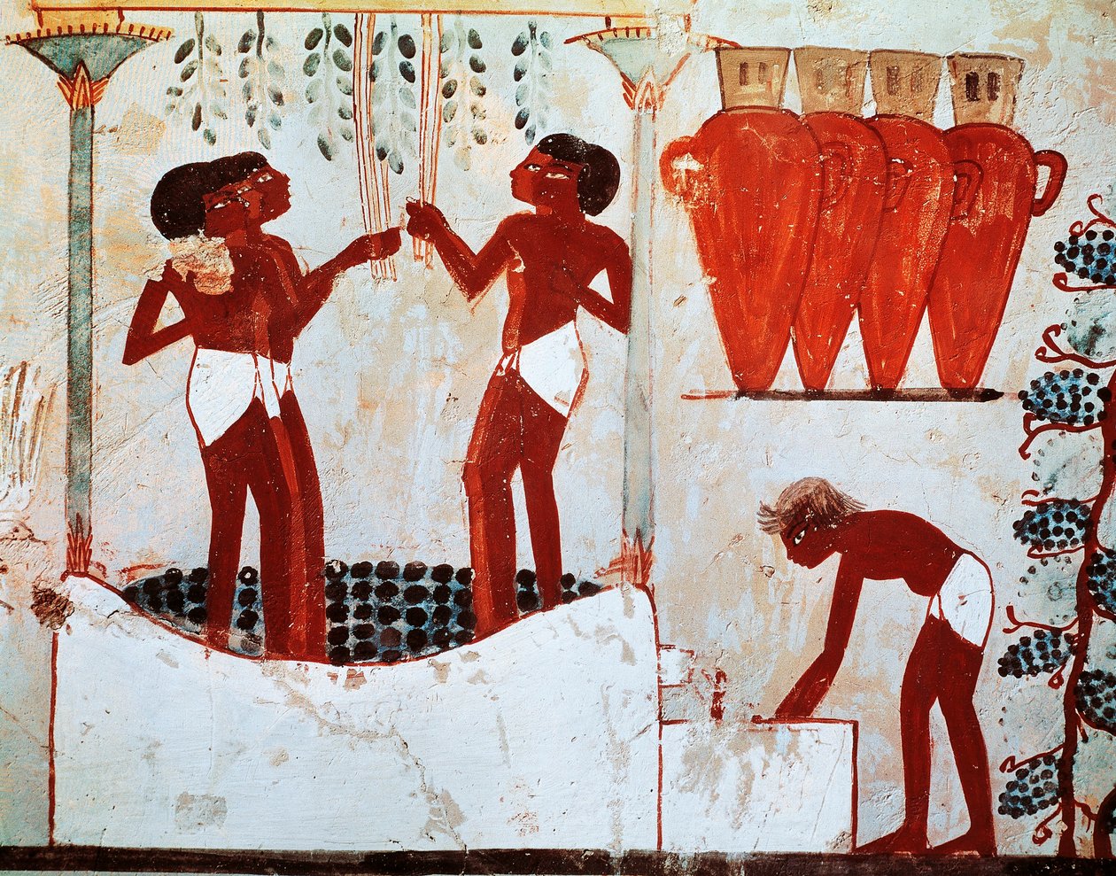 Illusztráció vidéki mindennapi élet: tyúkkopasztás és szőlőszüret, a thébai Nakht sírból alkotó: Egyptian 18th Dynasty