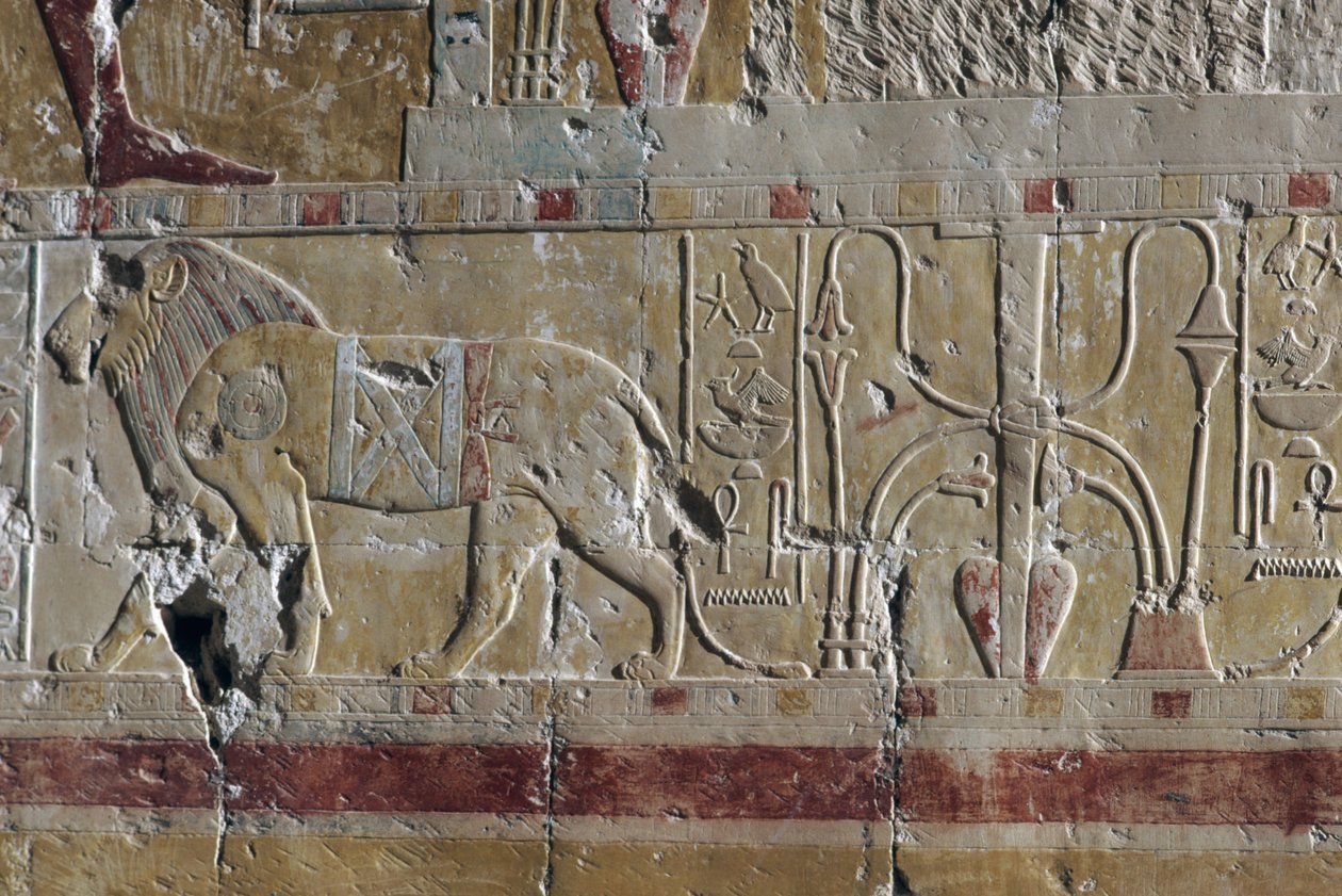 Oroszlán, dombormű, Hatshepsut halotti temploma, Deir el-Bahari, thébai nekropolisz (UNESCO Világörökségi Listája) alkotó: Egyptian 18th Dynasty