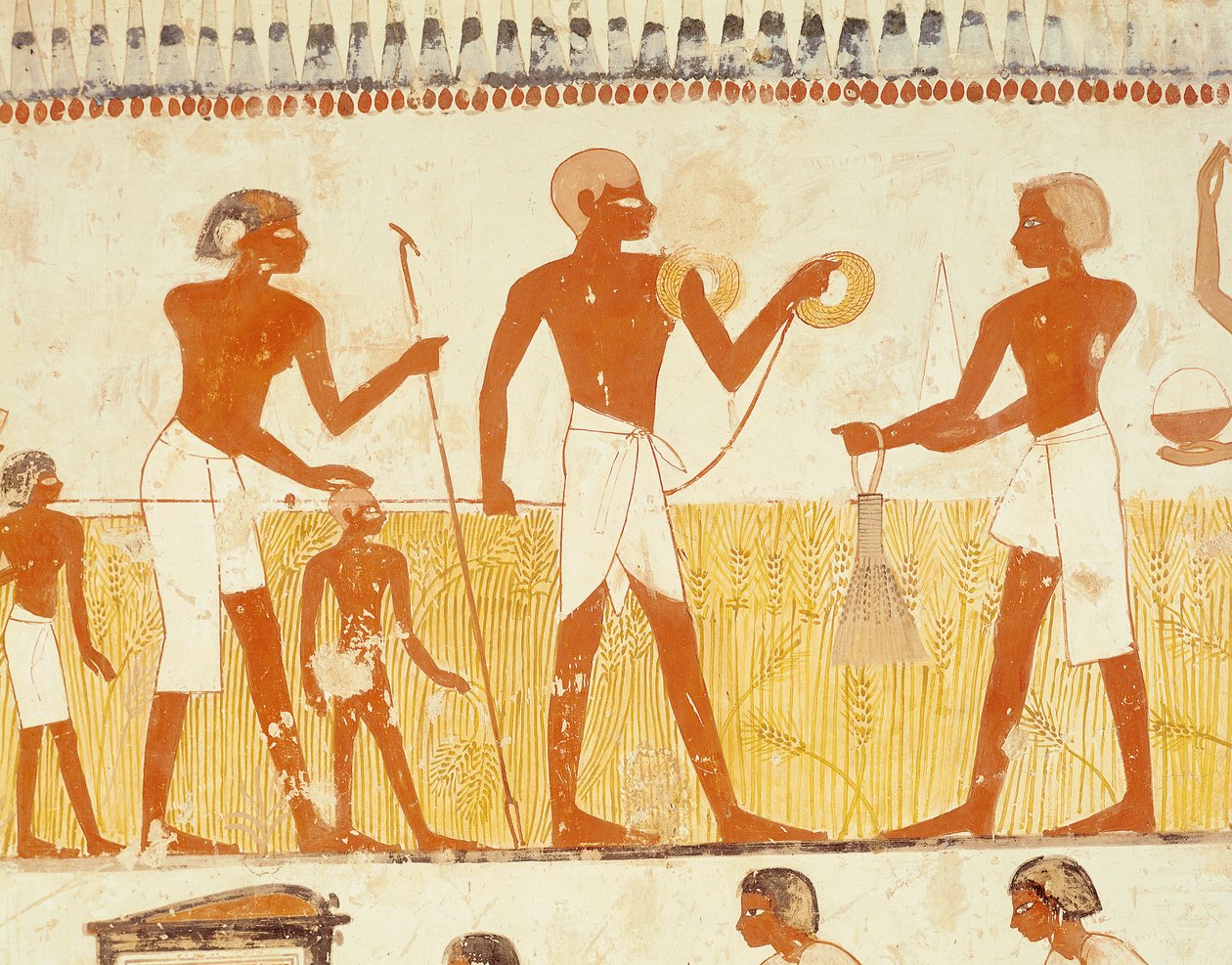 Földmérés kötéllel, Menna sírkápolnájából, Új Királyság (falfestmény) (lásd még: 251666) alkotó: Egyptian 18th Dynasty