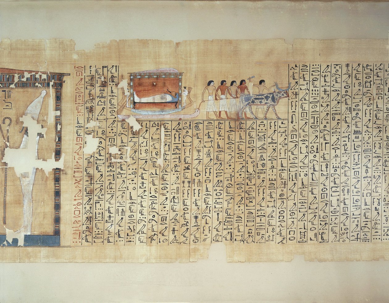 Papirusz, amely szarkofág szállítását ábrázolja ökör által húzott kocsin, a Maiherperi halottak könyvéből. alkotó: Egyptian 18th Dynasty