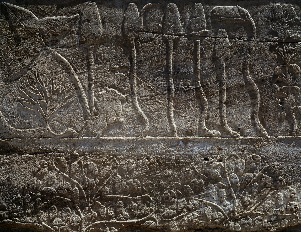 III. Thutmose szíriai expedíciójáról Kr. e. 1465-ben hazahozott növények, dombormű részlete, úgynevezett Botanikus kertként ismert csarnok, Amun templom, Karnaki templomkomplexum, Egyiptomi civilizáció, Újbirodalom, XVIII. dinasztia. alkotó: Egyptian 18th Dynasty