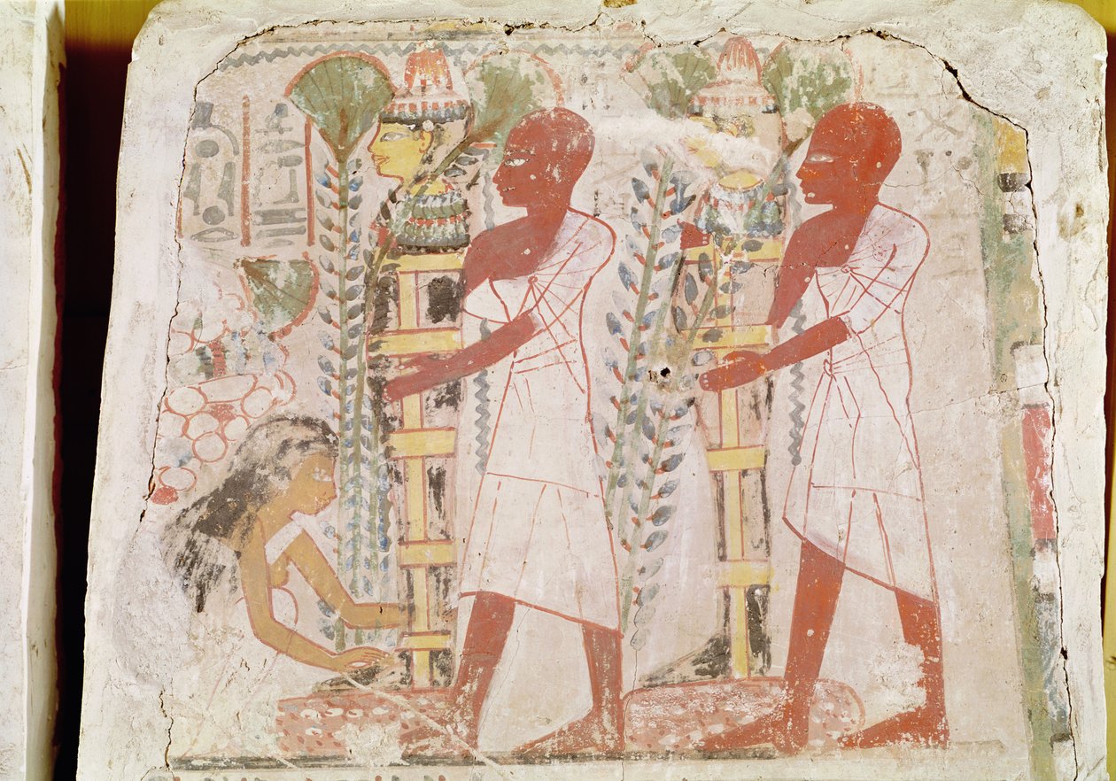 Két múmia előkészítése a tisztulási szertartásra, Merymaat sírjából, Új Királyság (falfestmény) alkotó: Egyptian 18th Dynasty