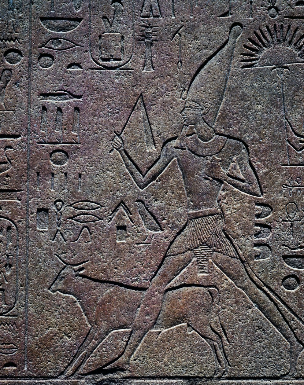 Hatsepszut királynőt Apis bika kíséri a jubileumi ünnepség szertartásán, dombormű, Amun templom, Karnaki templomkomplexum (Unesco Világörökségi Listája). alkotó: Egyptian 18th Dynasty