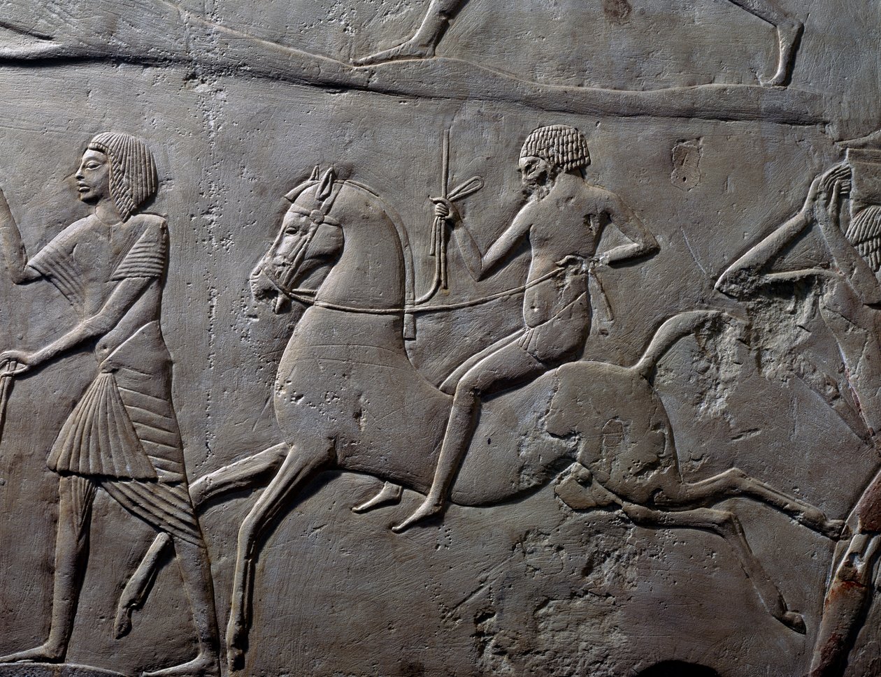 Stafétafutás lóháton, katonák katonai táborát ábrázoló faldombormű részlete, mészkő, Horemheb memfita sírjából Szakkarában, egyiptomi civilizáció, Újbirodalom, XVIII. dinasztia alkotó: Egyptian 18th Dynasty