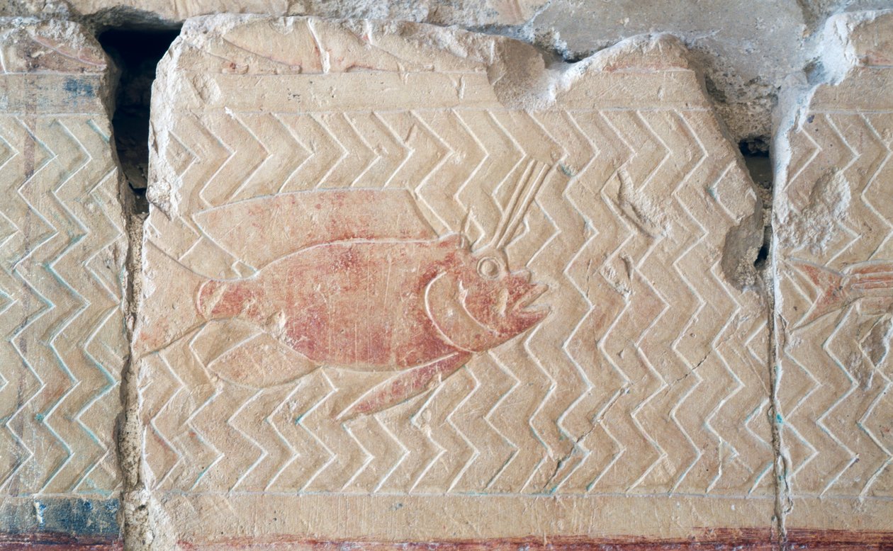 Egy hal domborműve, Hatsepszut halotti temploma, Théba (dombormű) alkotó: Egyptian 18th Dynasty