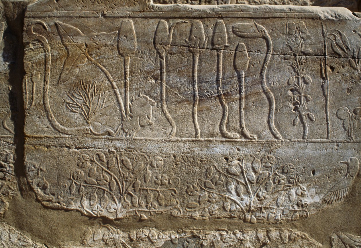 Állatok és növények domborműve, amelyeket III. Thutmózes ajánlott fel Amunnak a szíriai hadjáratból való visszatérésekor, Kr. e. 1465, Botanikus kert terem, Karnak, thébai nekropolisz, Luxor, Egyiptom, Újbirodalom, XVIII. dinasztia. alkotó: Egyptian 18th Dynasty