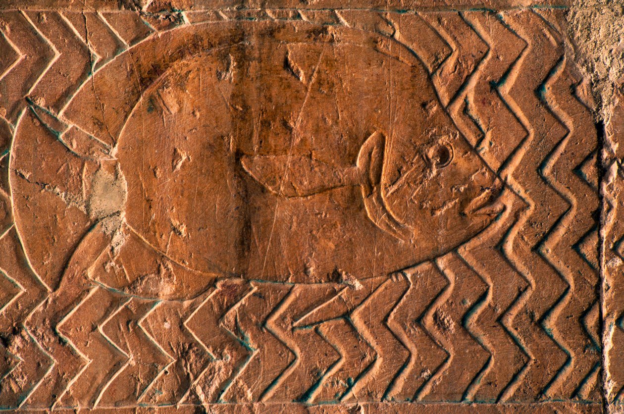 Halak ábrázolása, Punt királyság jelenetei, központi oszlopsor déli fala, Hatsepszuti halotti templom, Deir el-Bahari, Luxor, Théba (az UNESCO világörökségi listája) alkotó: Egyptian 18th Dynasty
